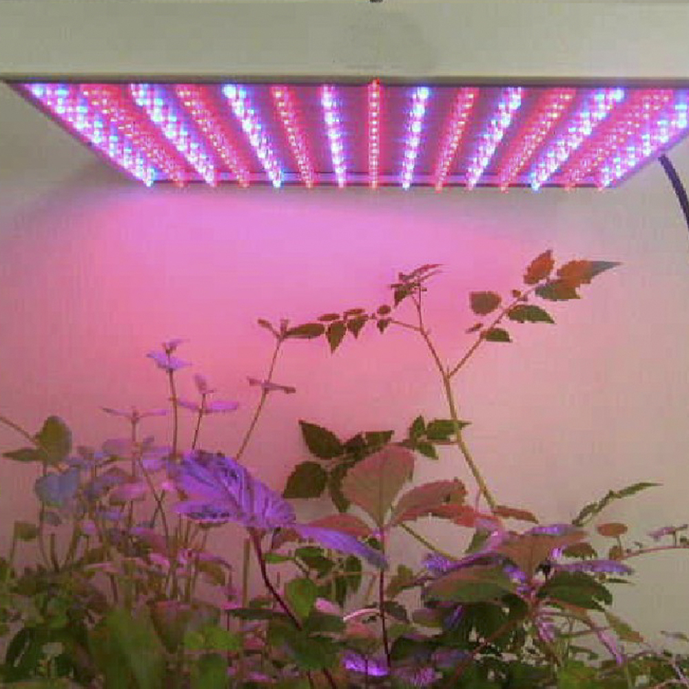 подсветка растений светодиодной лентой