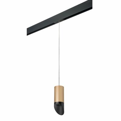 Комплект со светильником Lightstar Rullo PRORP44037