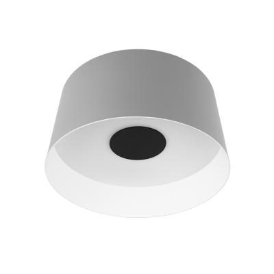 Потолочный светильник LOFT IT Duo 10360M Grey