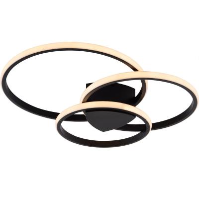 Потолочный светильник Rivoli Milena 6141-101