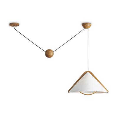 Подвесной светильник Freya Modern FR5554CL-01T