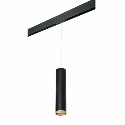 Комплект со светильником Lightstar Rullo PRORP49740