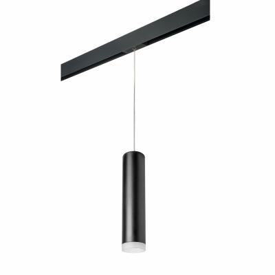 Комплект со светильником Lightstar Rullo PRORP49730