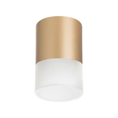 Накладной светильник Lightstar Rullo R349081 (213490+202481) Накладной светильник Lightstar Rullo R349081 (213490+202481)