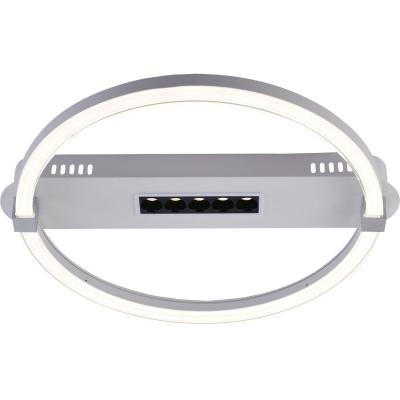 Потолочный светодиодный светильник Escada Aspect 10253/1LED Потолочный светодиодный светильник Escada Aspect 10253/1LED