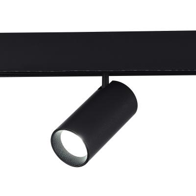 Трековый светильник ST LUCE SKYLINE 48 ST375.406.12