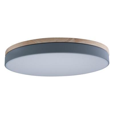 Потолочный светодиодный светильник Loft IT Axel 10001/36 grey Потолочный светодиодный светильник Loft IT Axel 10001/36 grey