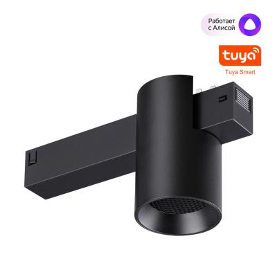 Трековый светильник Novotech Port 359955