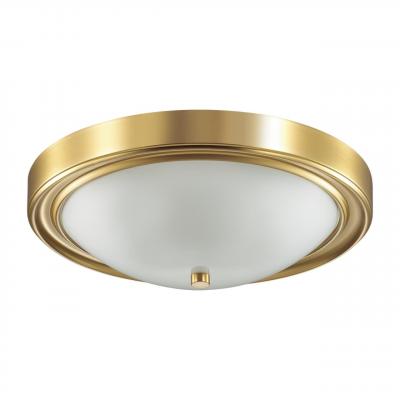 Настенно-потолочный светильник LUMION NINA 5259/3C Настенно-потолочный светильник LUMION NINA 5259/3C