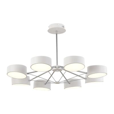 Люстра потолочная на штанге EVOLUCE VALLE SLE6005-502-08