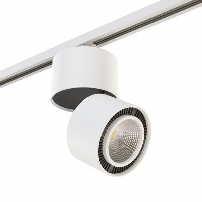 Комплект со светильником Forte Forte Muro Lightstar A1T214830 Комплект со светильником Forte Forte Muro Lightstar A1T214830