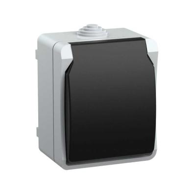 Розетка 2P+PE с крышкой IEK Fors серая ERS12-K03-16-54-DC