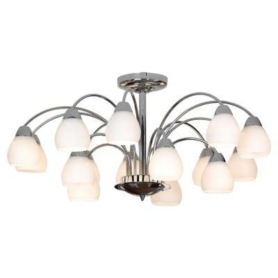 Потолочная люстра Lussole Apiro LSF-2403-15 Потолочная люстра Lussole Apiro LSF-2403-15