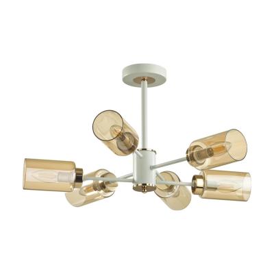 Люстра потолочная на штанге Lumion Dallin 5639/6C