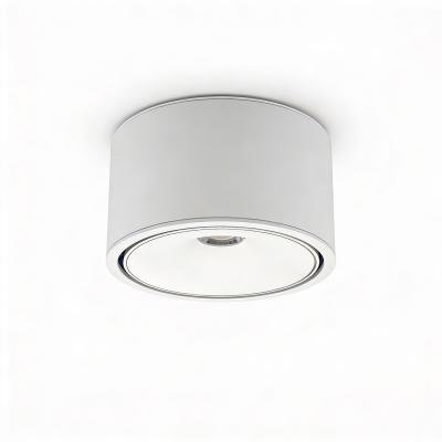 Накладной светильник WERTMARK ALTAIR WTA.O06.007.30.12