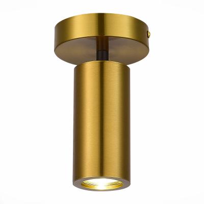 Накладной светильник ST LUCE TALIA SL1215.402.01