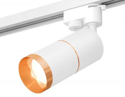 Трековый светильник Ambrella light Xt Track System XT6301021 (A2520,C6301,A2062,C6301,N6134)