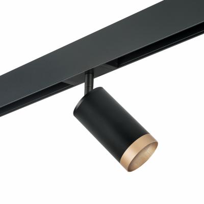 Комплект со светильником Lightstar Rullo PRO43740 Комплект со светильником Lightstar Rullo PRO43740