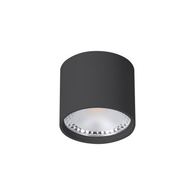 Накладной светильник Wertmark Technical WTA.O02.607.V0.07