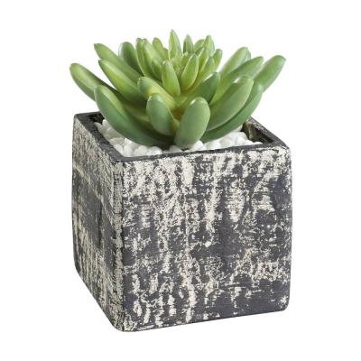 Искусственное растение в горшке EGLO CHITOSE 428007