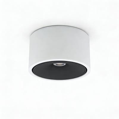Накладной светильник WERTMARK ALTAIR WTA.O06.067.30.12
