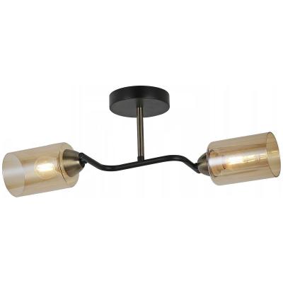 Люстра потолочная на штанге Illumico IL8148 IL8148-2COU-79 BK BR