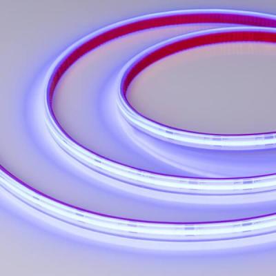 Светодиодная влагозащищенная лента Arlight 11,5W/m 544LED/m CSP синий 5M 032182(2) Светодиодная влагозащищенная лента Arlight 11,5W/m 544LED/m CSP синий 5M 032182(2)