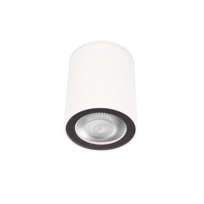 Накладной светильник LOFT IT Rush 10344 White