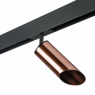 Комплект со светильником Lightstar Rullo PRO43030