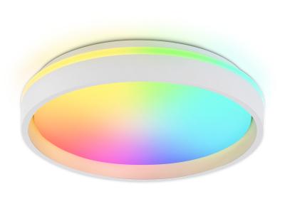 Потолочный светильник Ambrella light ORBITAL FZ601