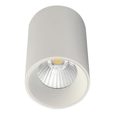 Накладной светодиодный светильник Escada 20003 20003SMU/01LED SWH