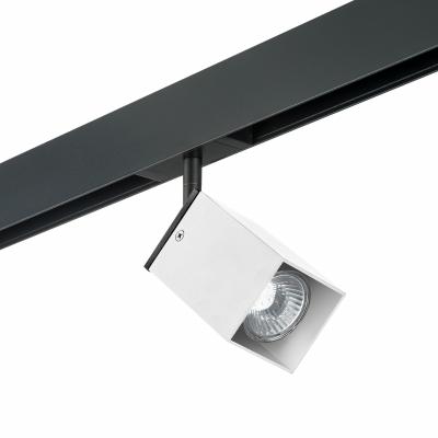 Комплект со светильником Lightstar Rullo PRO216336 Комплект со светильником Lightstar Rullo PRO216336