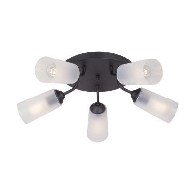 Люстра Vitaluce V3762-1/5PL Люстра Vitaluce V3762-1/5PL