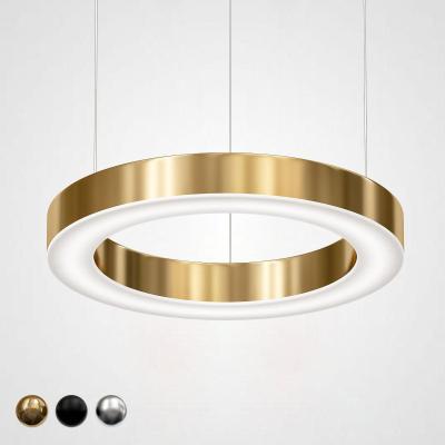 Подвесной светодиодный светильник Imperium Loft Light Ring 177929-22 Подвесной светодиодный светильник Imperium Loft Light Ring 177929-22