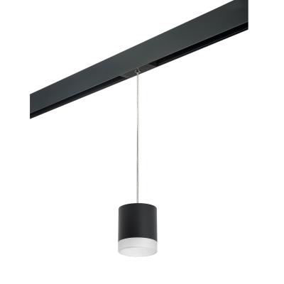 Трековый светильник Lightstar Rullo PRORP348780 (213487+595887+202480) Трековый светильник Lightstar Rullo PRORP348780 (213487+595887+202480)