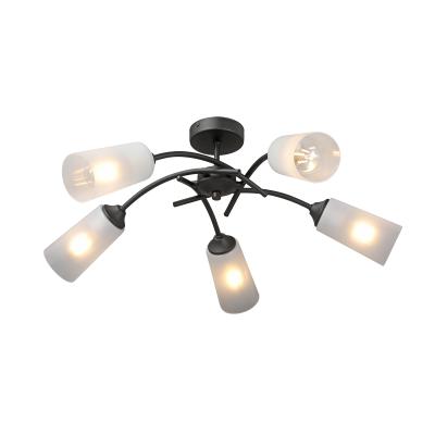 Люстра Vitaluce V2850-1/5PL