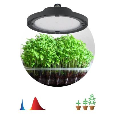 Прожектор светодиодный для растений ЭРА Profi green light Fito-50W-RB-Led-Ufo