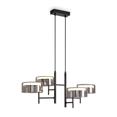 Люстра Freya Modern FR5536PL-L14B