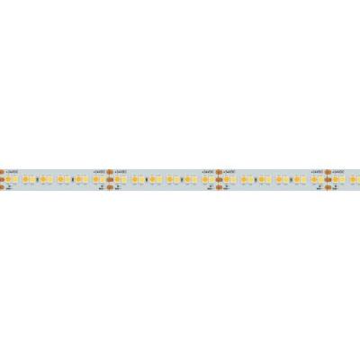 (5 м.) Светодиодная лента Arlight 19,2W/m 240LED/m 3528SMD теплый белый/белый 5M 025210(2)