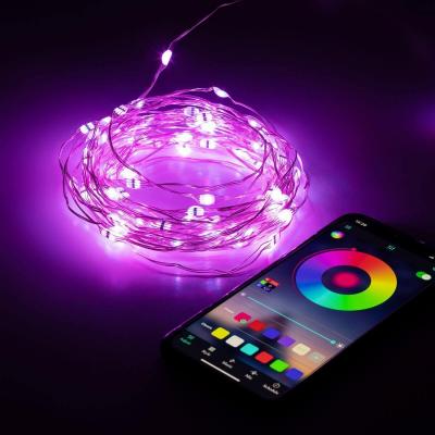 Светодиодная Гирлянда ЭРА нить 220V динамичный RGB ЕGNIG - PU-1 Б0055993