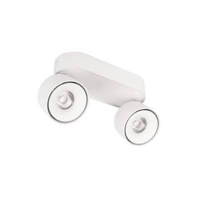 Накладной светильник LOFT IT Focus 10323/2A White