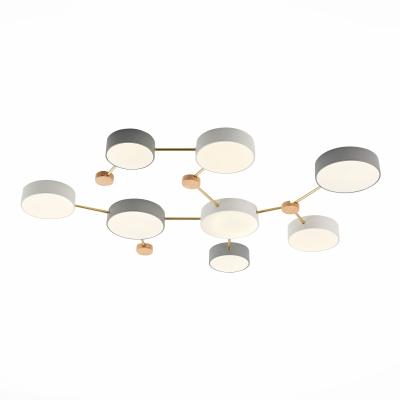 Люстра потолочная EVOLUCE DOSSENA SLE600102-08