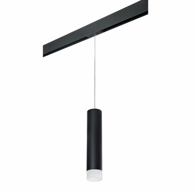 Комплект со светильником Lightstar Rullo PRORP49731