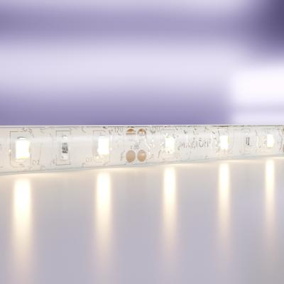 Светодиодная лента 12В Maytoni Led strip 20004