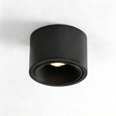 Накладной светильник WERTMARK ALTAIR WTA.O06.667.40.07