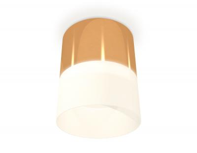 Накладной светильник Ambrella light Xs Techno Spot XS8121011 (C8121, N8402)