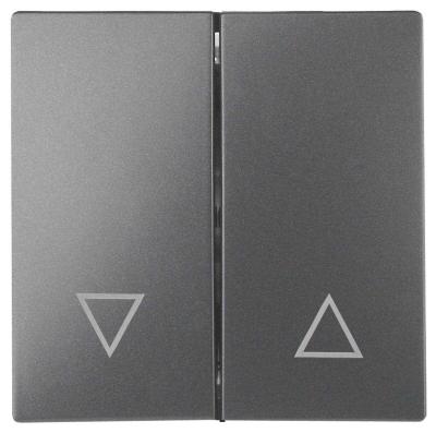 Лицевая панель выключателя двухклавишного ЭРА Эра12 12-6203-12