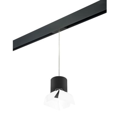 Трековый светильник Lightstar Rullo PRORP3487486 (213487+595887+202486) Трековый светильник Lightstar Rullo PRORP3487486 (213487+595887+202486)