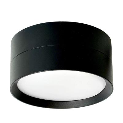 Потолочный светильник Feron Barrel 48739