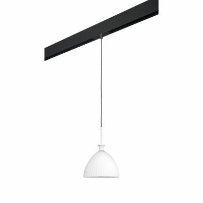 Комплект с подвесом Lightstar Agola PRO810020 Комплект с подвесом Lightstar Agola PRO810020